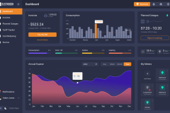 Custom Energy Management Software